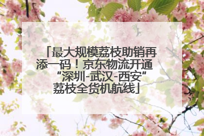 最大规模荔枝助销再添一码！京东物流开通“深圳-武汉-西安” 荔枝全货机航线