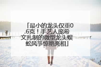 最小的龙头仅重0.6克！手艺人庞希文扎制的微型龙头蜈蚣风筝惊艳亮相