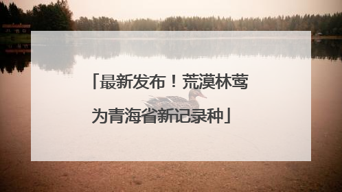 最新发布！荒漠林莺为青海省新记录种