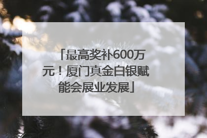 最高奖补600万元！厦门真金白银赋能会展业发展