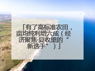 有了高标准农田，亩均纯利增六成（经济聚焦·夏收里的“新选手”）