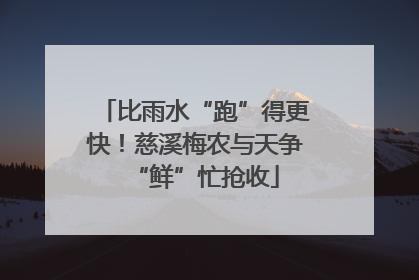 比雨水“跑”得更快！慈溪梅农与天争“鲜”忙抢收