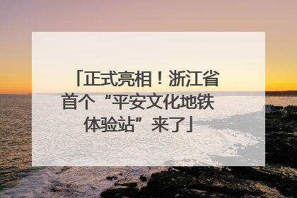 正式亮相！浙江省首个“平安文化地铁体验站”来了