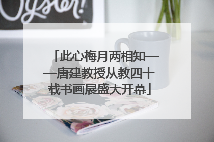 此心梅月两相知——唐建教授从教四十载书画展盛大开幕