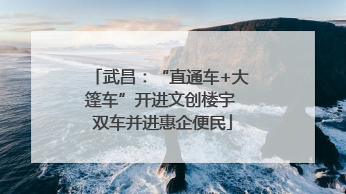 武昌：“直通车+大篷车”开进文创楼宇 双车并进惠企便民
