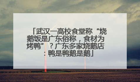 武汉一高校食堂称“烧鹅饭是广东俗称，食材为烤鸭”？广东多家烧鹅店：鸭是鸭鹅是鹅