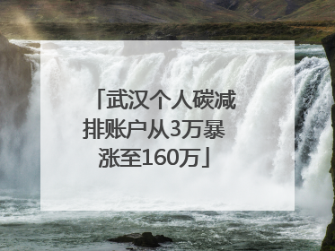 武汉个人碳减排账户从3万暴涨至160万