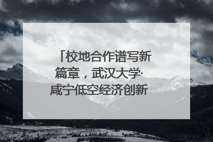 校地合作谱写新篇章，武汉大学·咸宁低空经济创新研究院签约成立