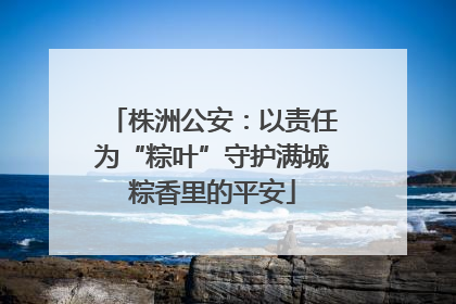 株洲公安：以责任为“粽叶”守护满城粽香里的平安