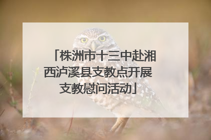 株洲市十三中赴湘西泸溪县支教点开展支教慰问活动