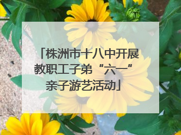 株洲市十八中开展教职工子弟“六一”亲子游艺活动