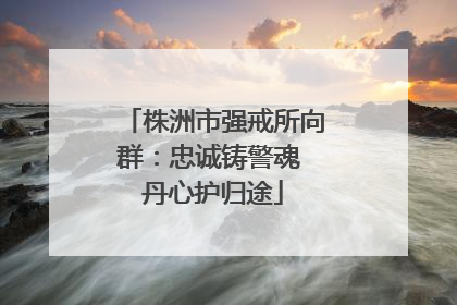 株洲市强戒所向群：忠诚铸警魂 丹心护归途
