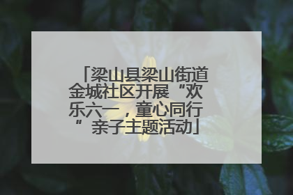 梁山县梁山街道金城社区开展“欢乐六一，童心同行”亲子主题活动