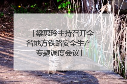 梁惠玲主持召开全省地方铁路安全生产专题调度会议