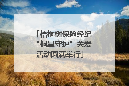 梧桐树保险经纪“桐星守护”关爱活动圆满举行