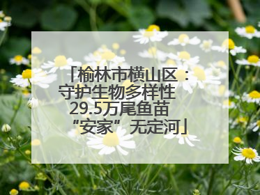 榆林市横山区：守护生物多样性 29.5万尾鱼苗“安家”无定河