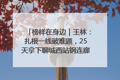 榜样在身边｜王林：扎根一线破难题，25天拿下聊城西站钢连廊“硬核”工程
