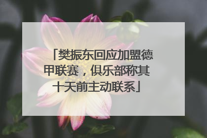 樊振东回应加盟德甲联赛，俱乐部称其十天前主动联系