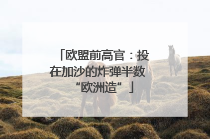 欧盟前高官：投在加沙的炸弹半数“欧洲造”