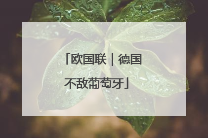 欧国联｜德国不敌葡萄牙