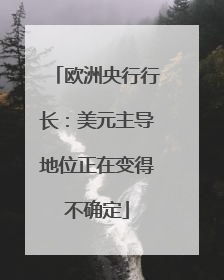欧洲央行行长：美元主导地位正在变得不确定