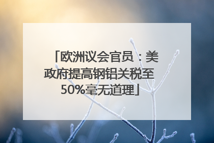 欧洲议会官员：美政府提高钢铝关税至50%毫无道理
