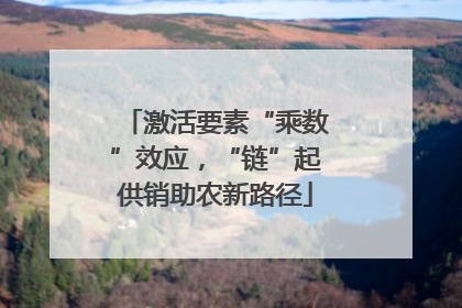 激活要素“乘数”效应，“链”起供销助农新路径