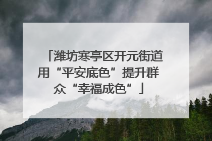 潍坊寒亭区开元街道用“平安底色”提升群众“幸福成色”