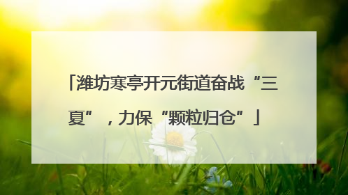 潍坊寒亭开元街道奋战“三夏”，力保“颗粒归仓”