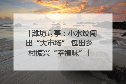 潍坊寒亭：小水饺闯出“大市场” 包出乡村振兴“幸福味”