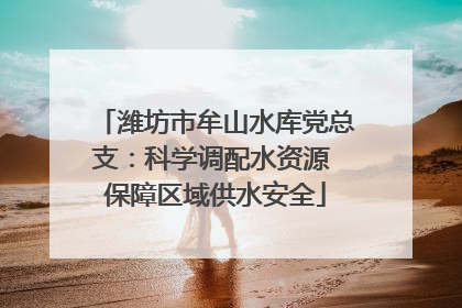 潍坊市牟山水库党总支：科学调配水资源 保障区域供水安全