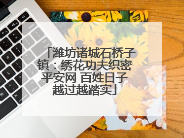 潍坊诸城石桥子镇：绣花功夫织密平安网 百姓日子越过越踏实