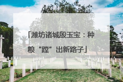 潍坊诸城殷玉宝：种粮“蹚”出新路子
