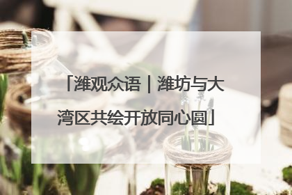 潍观众语｜潍坊与大湾区共绘开放同心圆