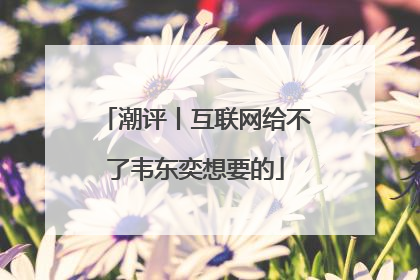 潮评丨互联网给不了韦东奕想要的