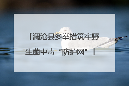 澜沧县多举措筑牢野生菌中毒“防护网”
