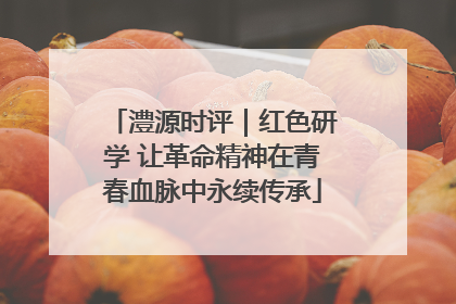 澧源时评｜红色研学 让革命精神在青春血脉中永续传承
