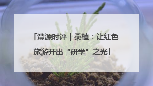 澧源时评｜桑植：让红色旅游开出“研学”之光