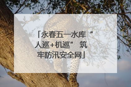 永春五一水库“人巡+机巡” 筑牢防汛安全网