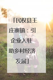 民权县王庄寨镇：引企业入驻 助乡村经济发展