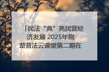 民法“典”亮民营经济发展 2025年荆楚普法云课堂第二期在武汉客厅开讲
