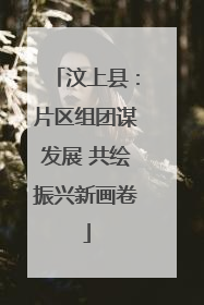 汶上县：片区组团谋发展 共绘振兴新画卷