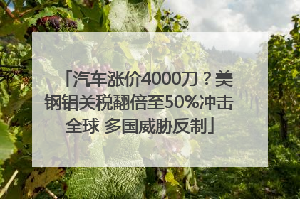 汽车涨价4000刀？美钢铝关税翻倍至50%冲击全球 多国威胁反制
