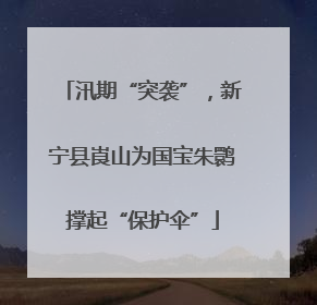 汛期“突袭”，新宁县崀山为国宝朱鹮撑起“保护伞”