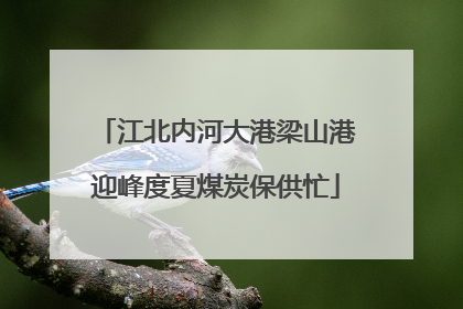 江北内河大港梁山港迎峰度夏煤炭保供忙