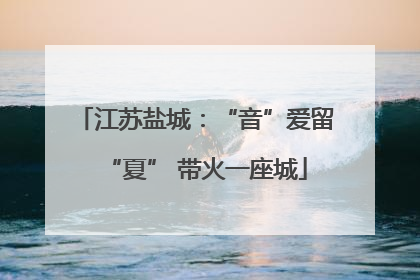 江苏盐城：“音”爱留“夏” 带火一座城