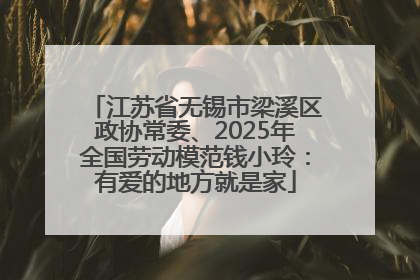 江苏省无锡市梁溪区政协常委、2025年全国劳动模范钱小玲：有爱的地方就是家