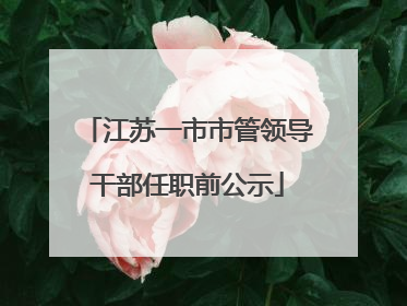 江苏一市市管领导干部任职前公示