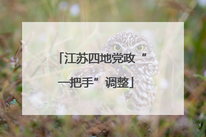 江苏四地党政“一把手”调整
