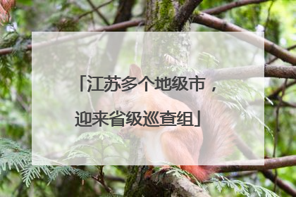 江苏多个地级市，迎来省级巡查组